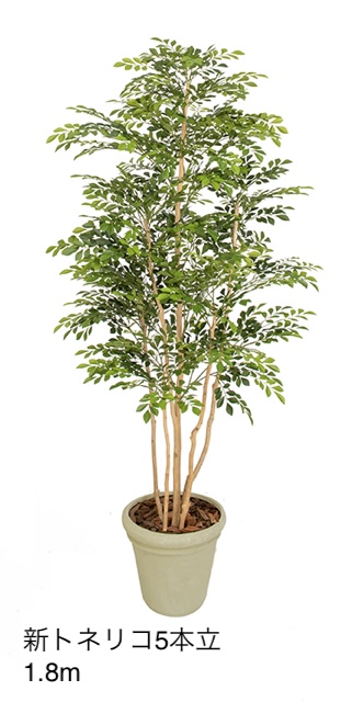 0tkv68ZJSKZ4k1VQQuzgGhm0LkxKDc