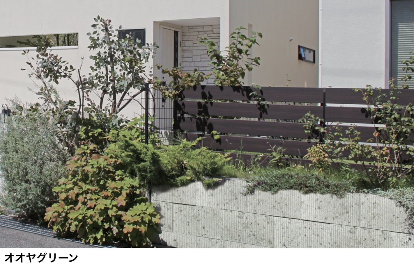 マチダコーポレーション | RMセラフィス ストーンタイプ【2024年版