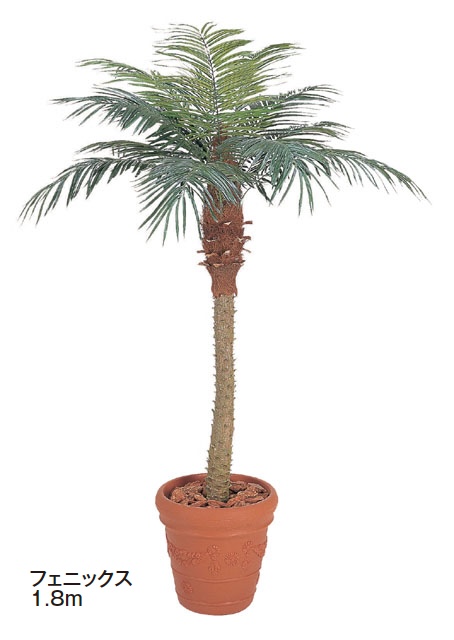 【ヤシの木】 Amazon | DECHOUS 樹木 ヤシの木 モデルツリー 模型樹木