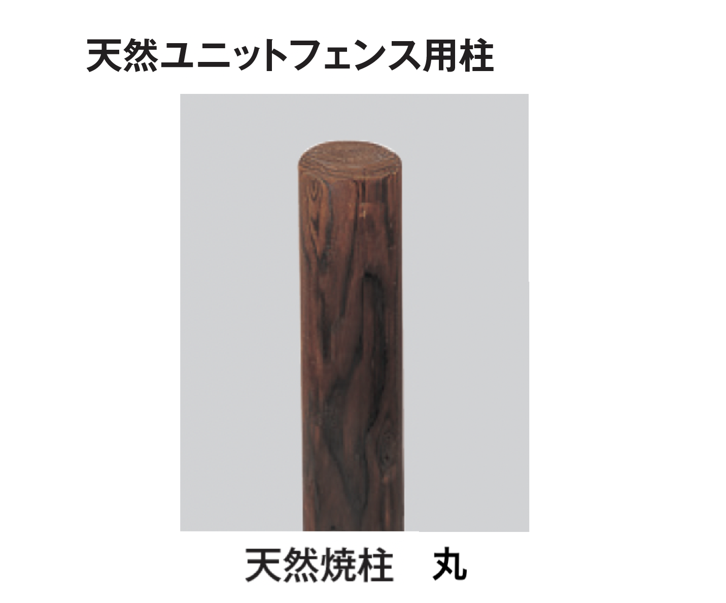 天津金木学 Shimomura Kanzan / Hakuzousu | 古美術瀬戸