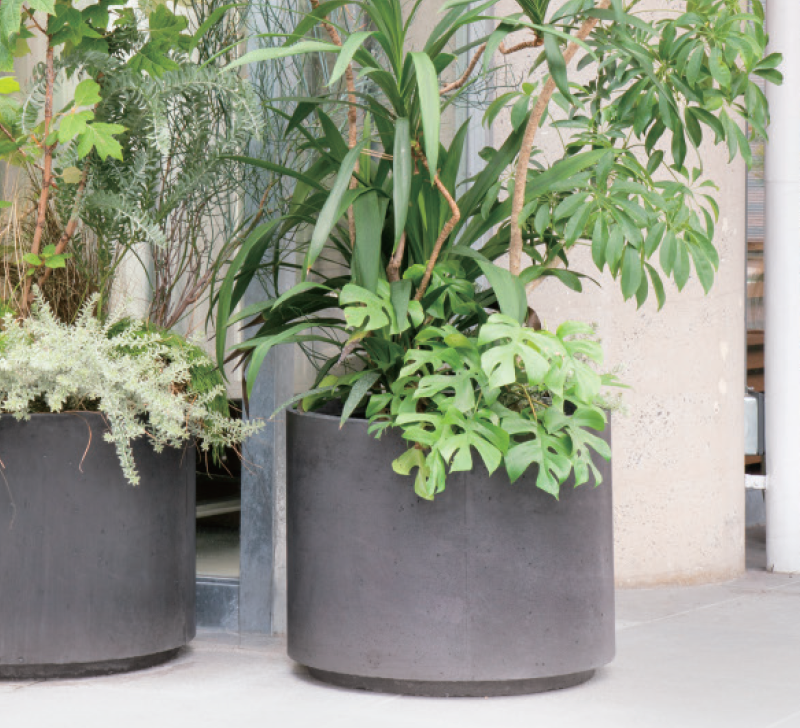 5hFdbLs0re7B6eWphMjav455M2ry9U