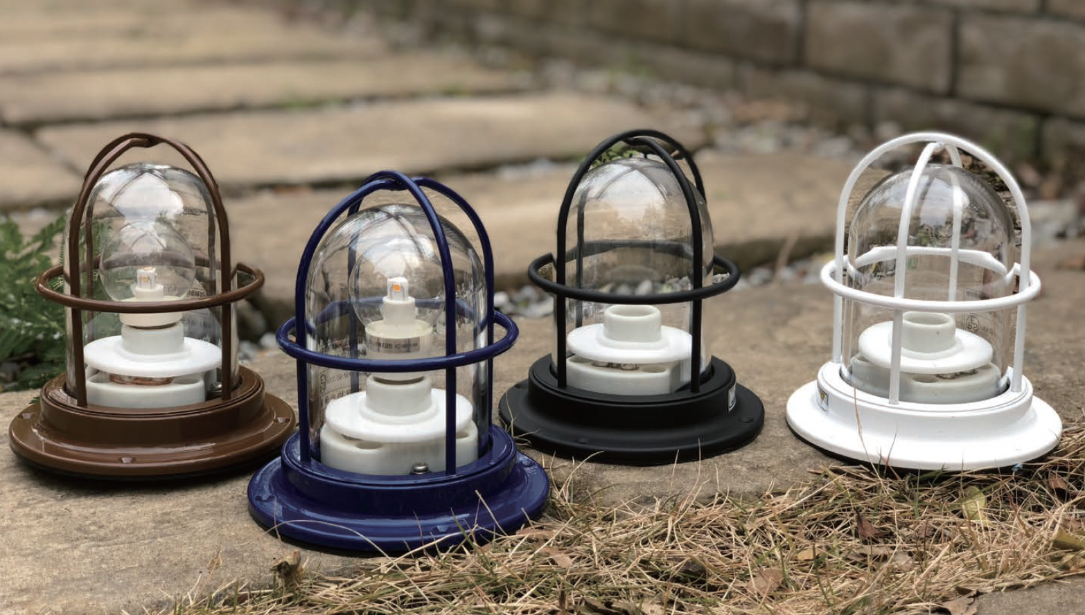 リライトデッキ＋デッキパーツ付き Amazon.co.jp: 【デッキ販売】 RRデッキ レイドラプターズデッキ 構築