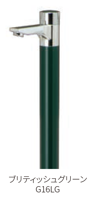 発根済　マルデヌベスverリギダ ユッカ マルデヌベス ver.リギダ ユッカ マルデヌベス var リギダ