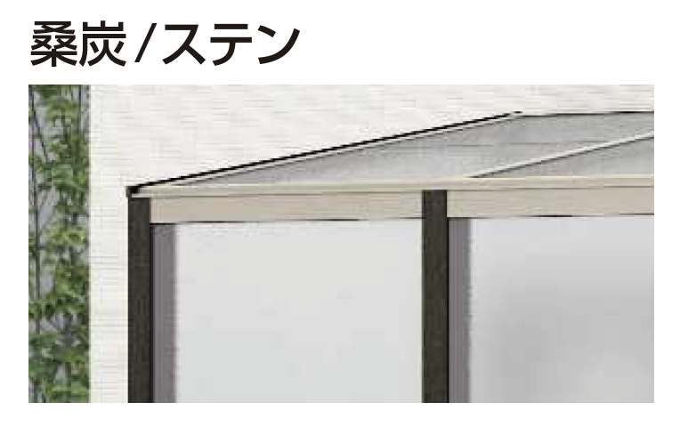 【CS構築】アマテラスループ ブレスラチェイナーに贈る最新の自信作、【ペテンシーループ
