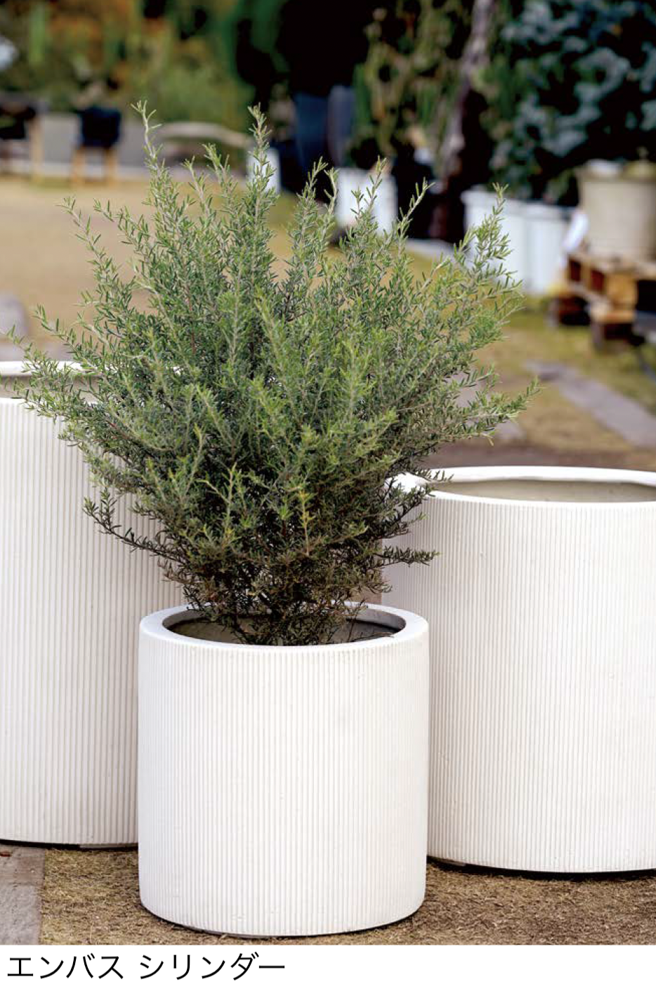 アイルランド プランター　＊同梱推奨商品 プランター | オンリーワンクラブ | 建材サーチ