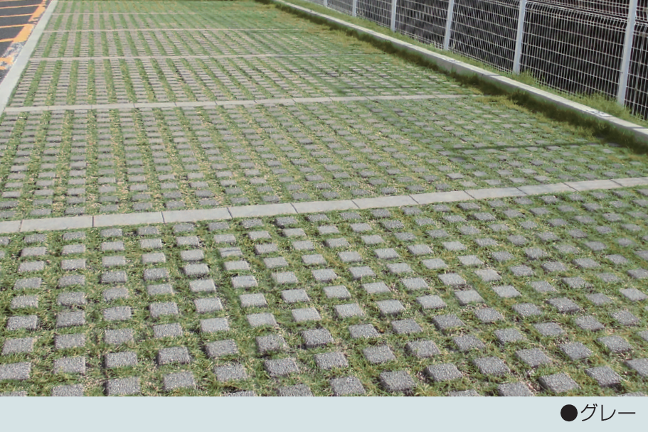 HMDliyDZDseg2MvvArrIMnGVoayvNX