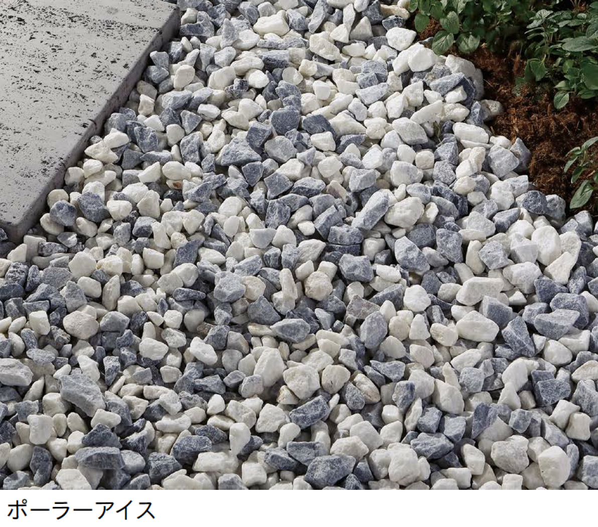 メゾンクリークの化石　１級品　アカンソテルソン　本物保証 ユニソン | グラべランド®︎【2025年版】 | 建材サーチ