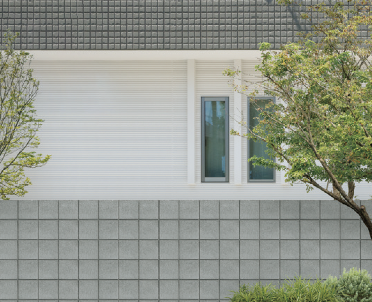 マチス　洋書 Amazon.co.jp: Chess - Puzzles & Games: 洋書