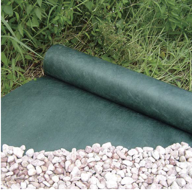 3870 外国切手 グリーンランド 1996年 クジラ 小型シート 未使用 3870 外国切手 グリーンランド 1996年 クジラ 小型シート 未使用 2025