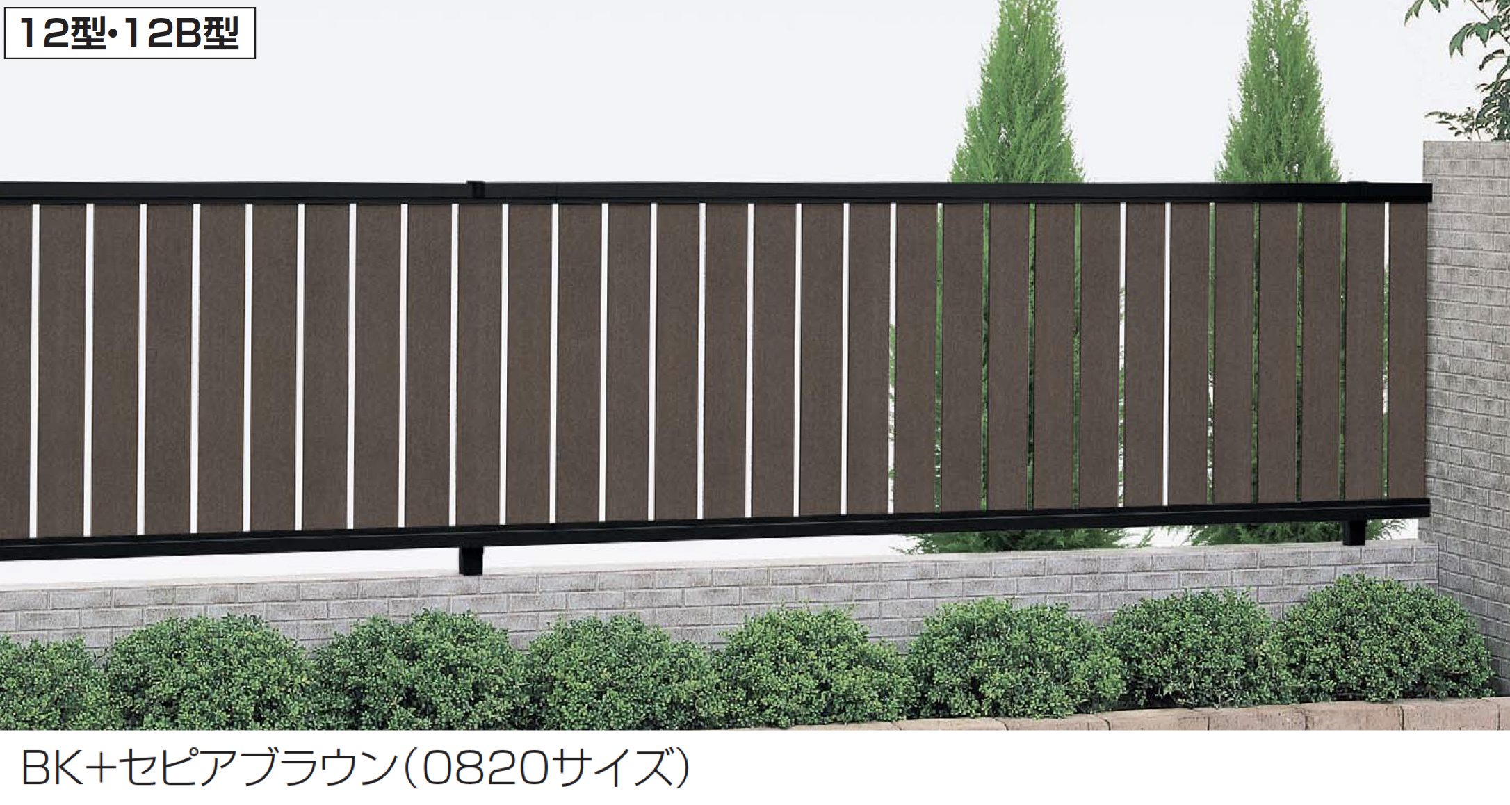 真・孔雀王 下「崑崙鳴動」 レーザーディスク　設定資料付き 真・孔雀王 設定