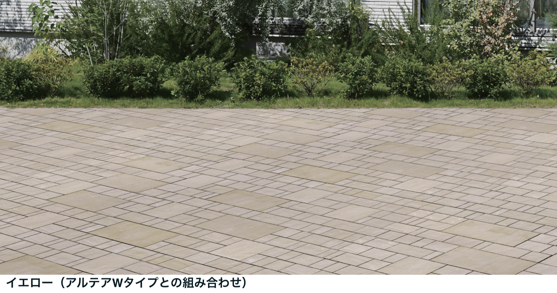オールド・バカラ 帯溝造型装飾 コート・アルテルネ・デポリ 大型 コンポート tTtJK3znrXDiAtAvLayE7lKCDhrZk9