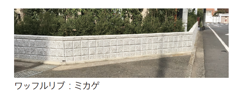 エコテ・EGF×2■計3点 PZnotYUDmA11BZUsOIv1UzZCnCPgPT
