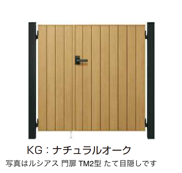 YKK AP | 〔ポケットキーシステム〕電気錠付 ルシアス 門扉 TM2型 たて