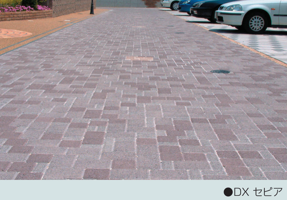 マツオコーポレーション | コブレックス DX・スタンダード【2024年版