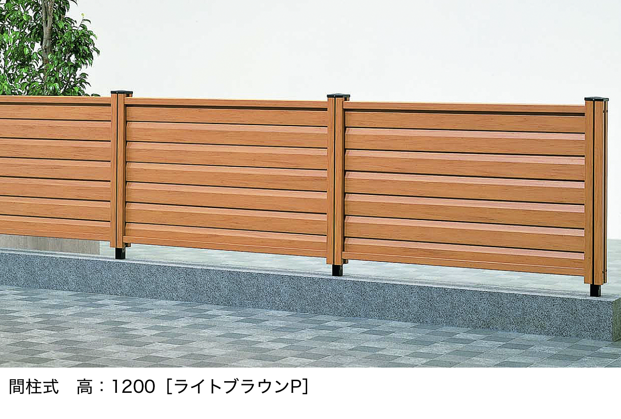 楽天市場】掛け軸 掛軸 春掛け 花鳥画 「桜花に小鳥」西尾香悦
