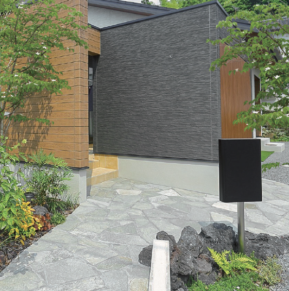 印石 STEELDIVE 1903 Family | Bronze, Steel, & 36mm SD8103 - YouTube