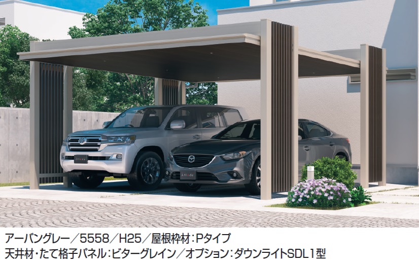 三協アルミ | アトラード 特注仕様（耐積雪量150cm仕様：基本）【2024