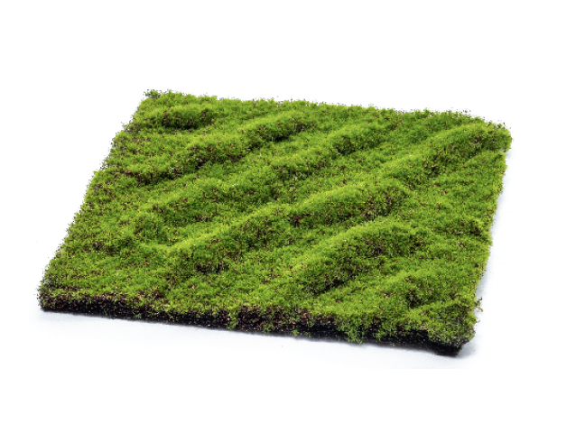 タカショー　室内用　人工植栽　苔マット タカショー | 苔マット | 建材サーチ